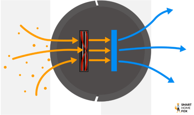 Robot vacuum cleaner for cleaning out dust and pet dander